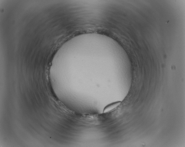 X0000067350768200604281442