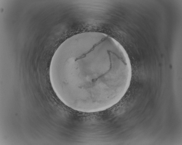 X0000067350769200604281441