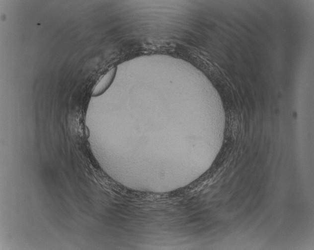 X0000067350770200604281441