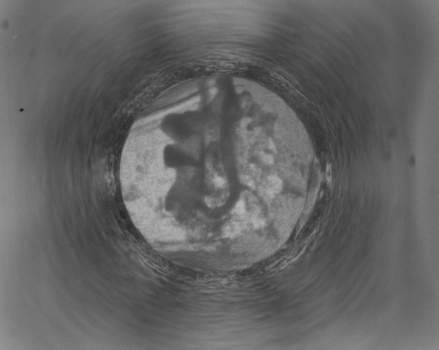 X0000067350771200604281441