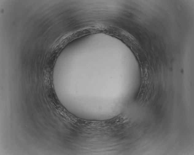 X0000067350773200604281441