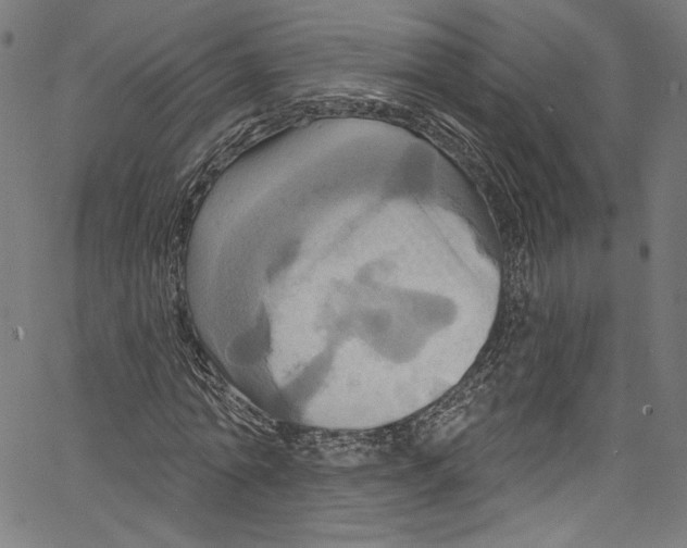 X0000067350774200604281441