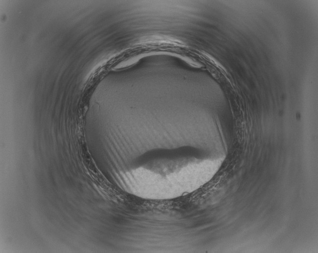 X0000067350775200604281441