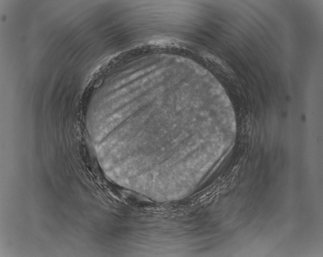 X0000067350776200604281441