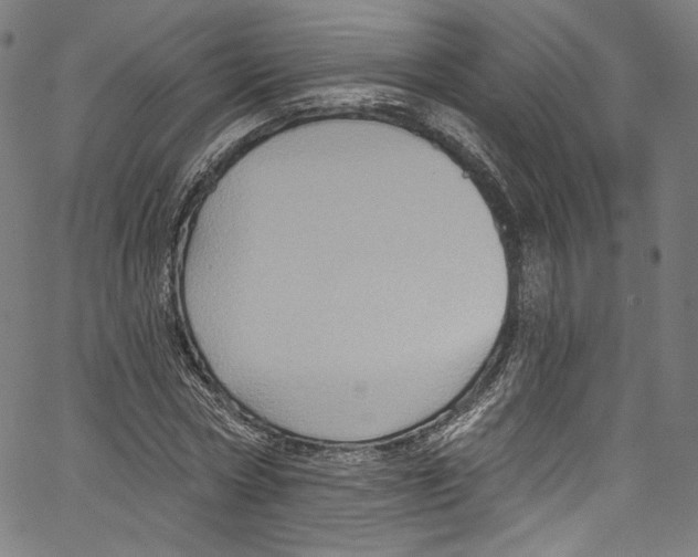 X0000067350778200604281441