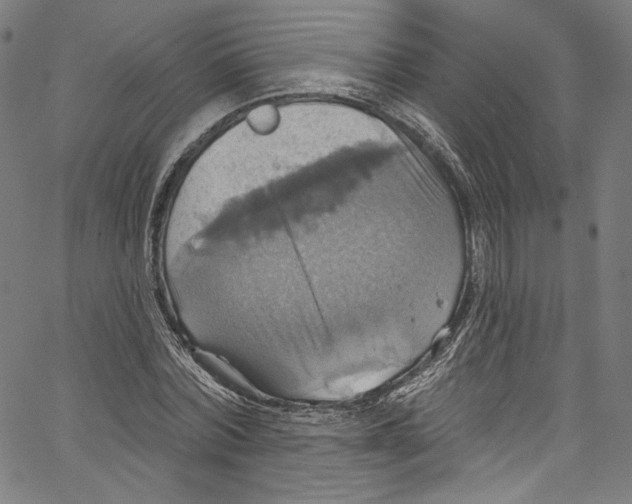 X0000067350780200604281441