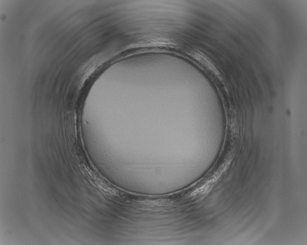 X0000067350781200604281441