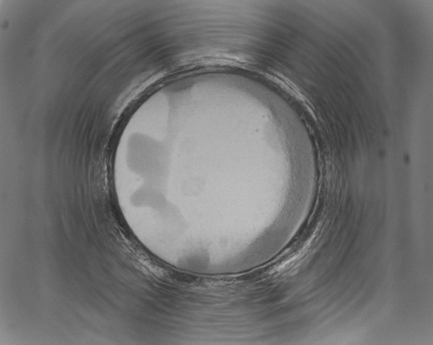 X0000067350782200604281441