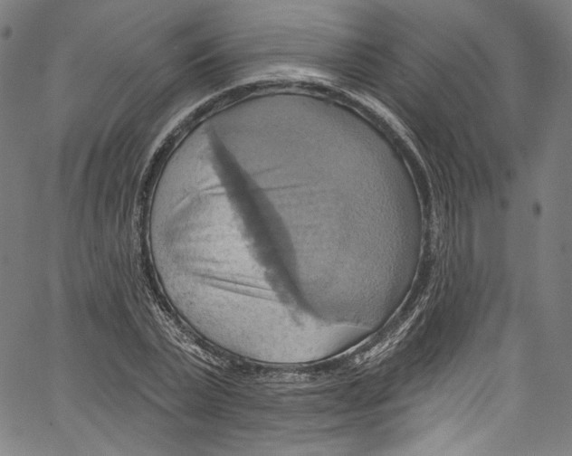 X0000067350783200604281441