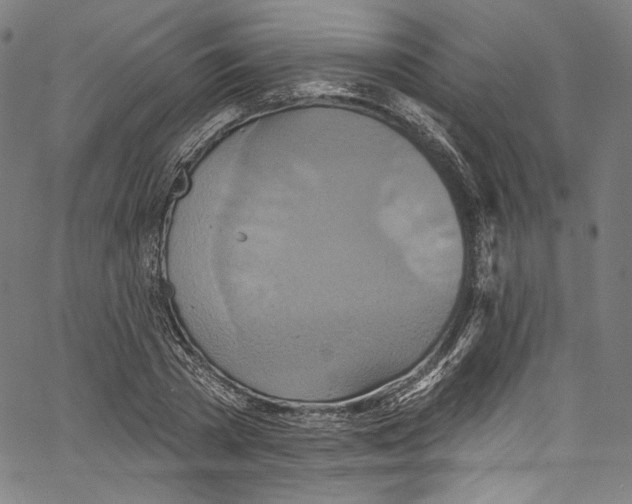 X0000067350785200604281441