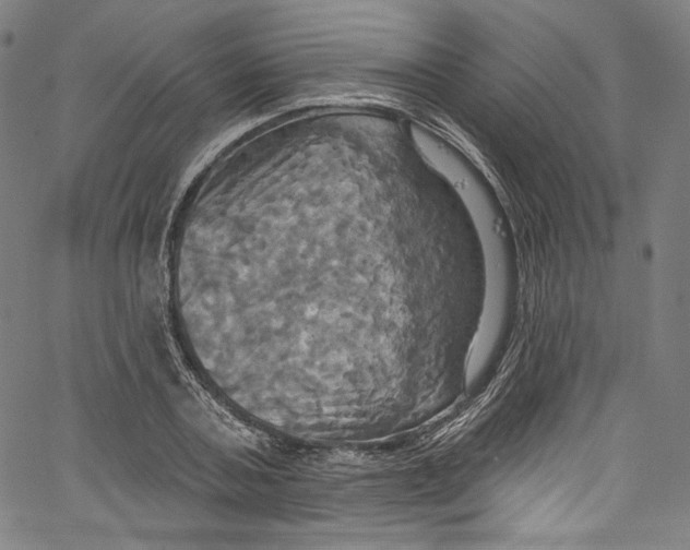 X0000067350787200604281441