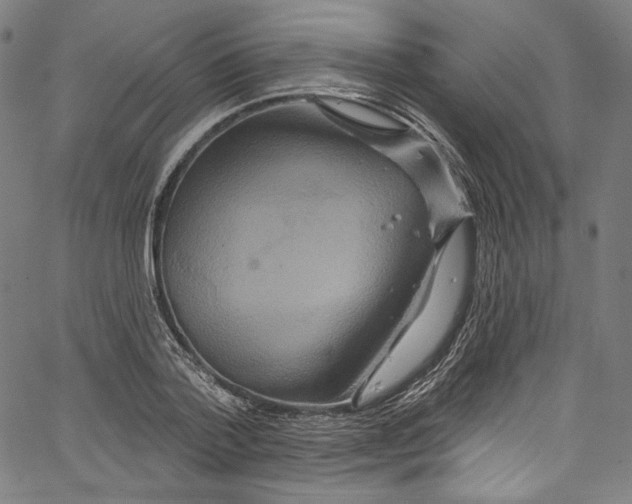 X0000067350788200604281441