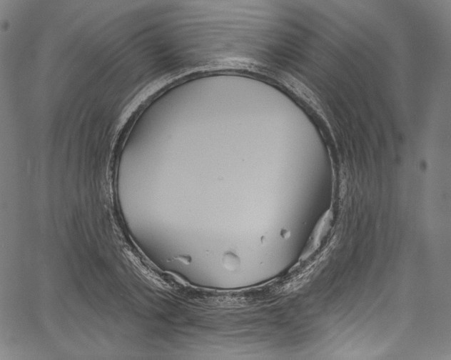 X0000067350789200604281441