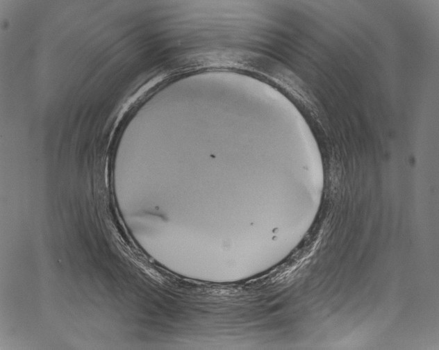 X0000067350790200604281441