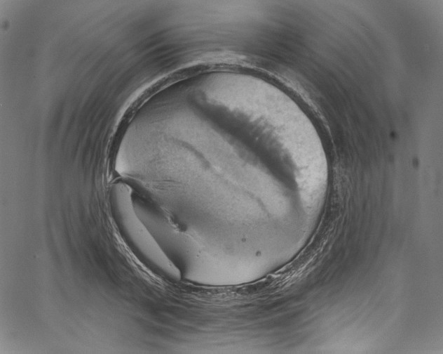 X0000067350791200604281441