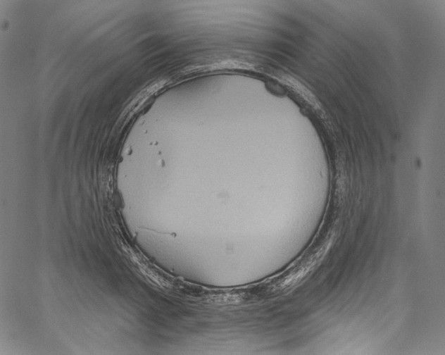 X0000067350793200604281441