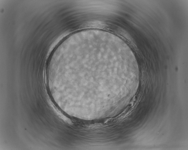 X0000067350796200604281440