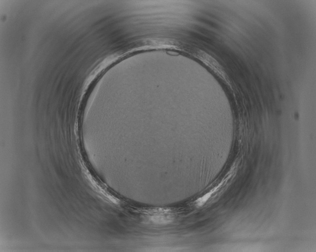 X0000067350797200604281440