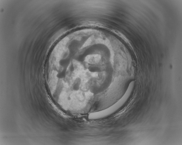 X0000067350799200604281440