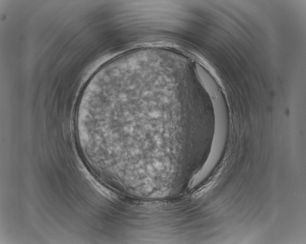 X0000067350803200604281440