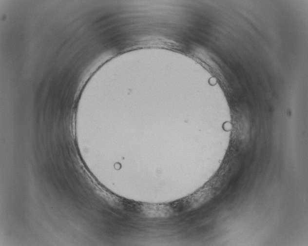 X0000067350804200604281440