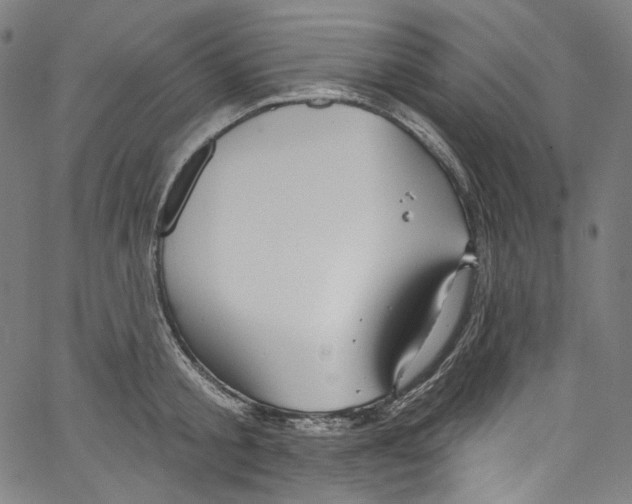 X0000067350805200604281440