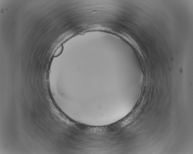 X0000067350806200604281440