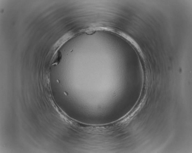 X0000067350809200604281440