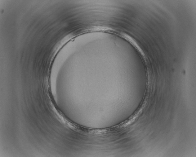 X0000067350810200604281440