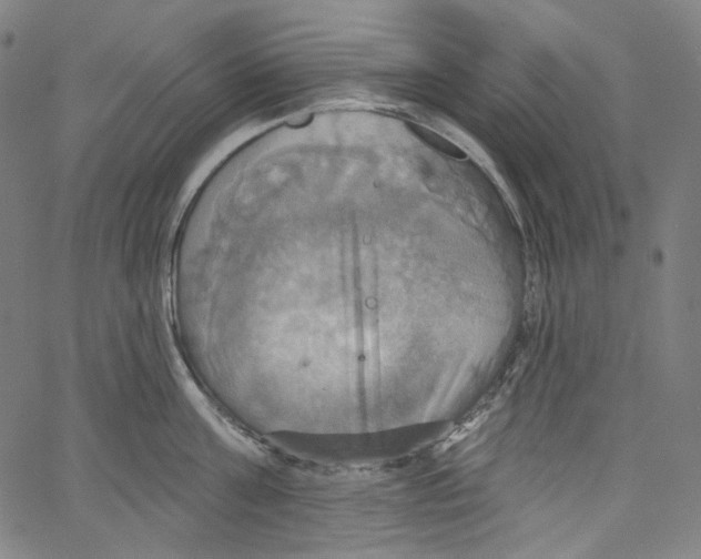 X0000067350811200604281440