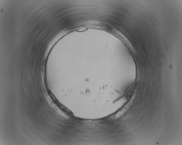 X0000067350812200604281440