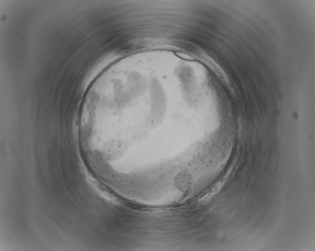 X0000067350814200604281440