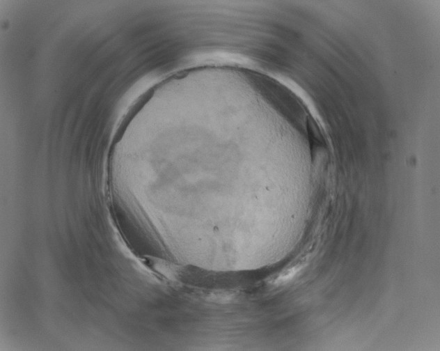 X0000067350815200604281440