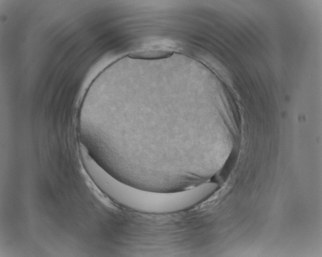 X0000067350816200604281440