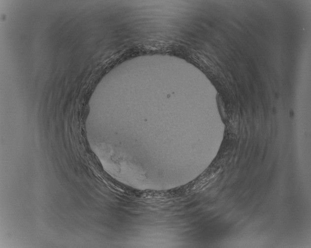 X0000067350817200604281439