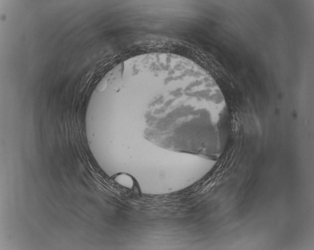 X0000067350820200604281439