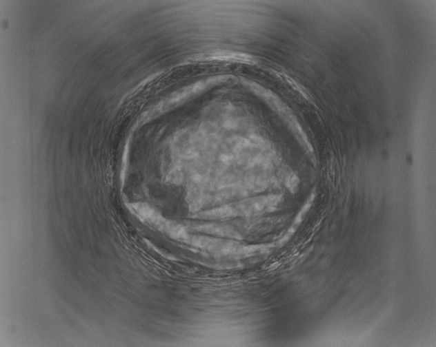 X0000067350821200604281439