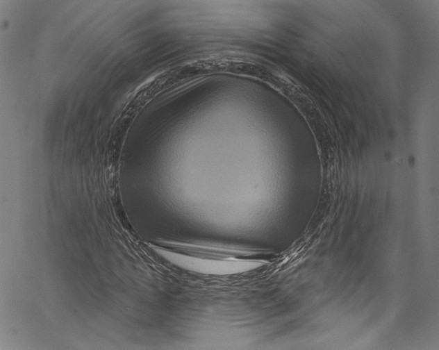 X0000067350822200604281439