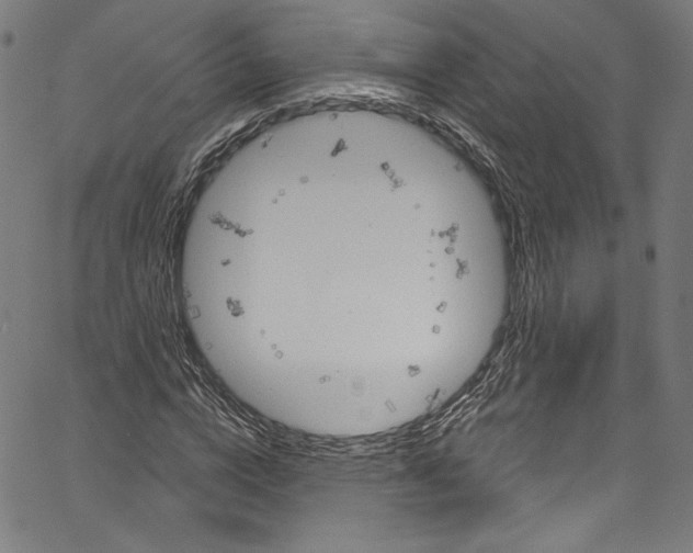 X0000067350824200604281439