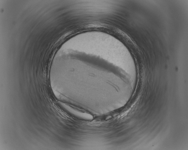 X0000067350825200604281440