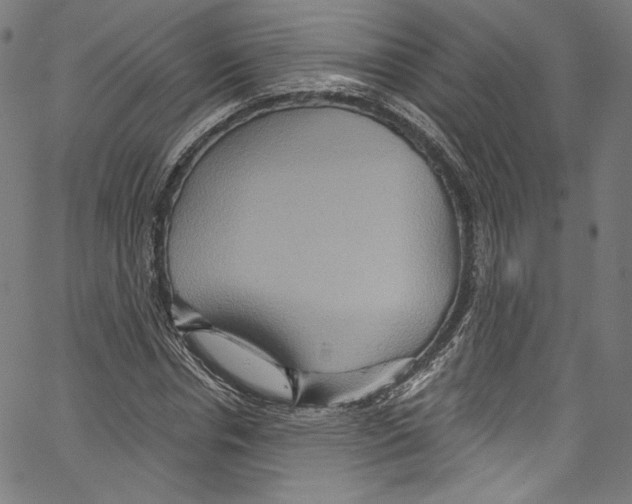 X0000067350826200604281440