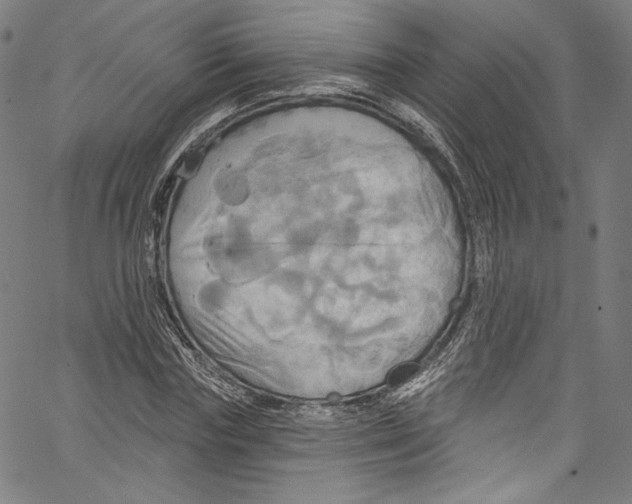 X0000067350827200604281440