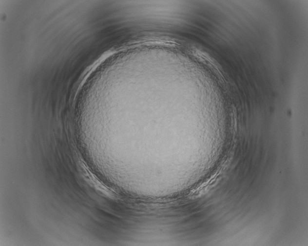 X0000067350828200604281440