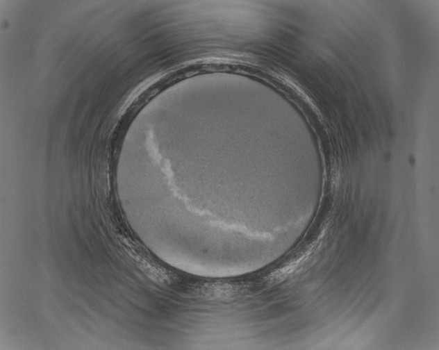 X0000067350829200604281440