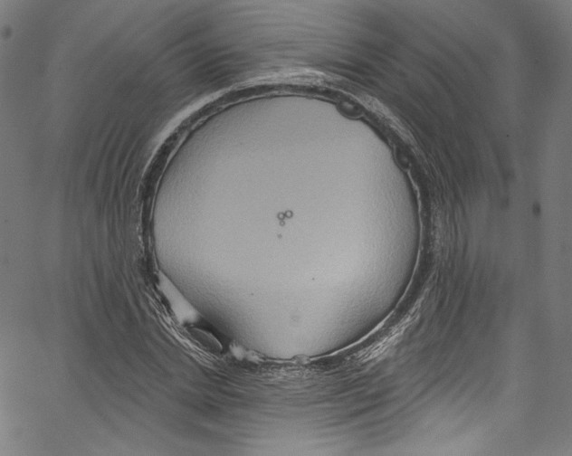 X0000067350830200604281440