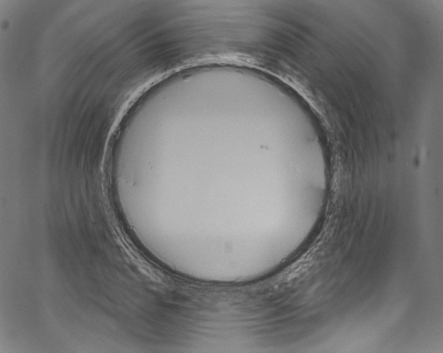 X0000067350832200604281440