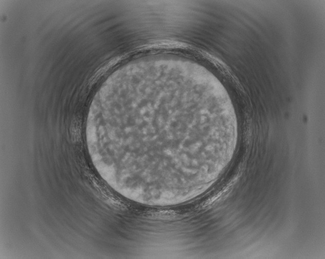 X0000067350833200604281440