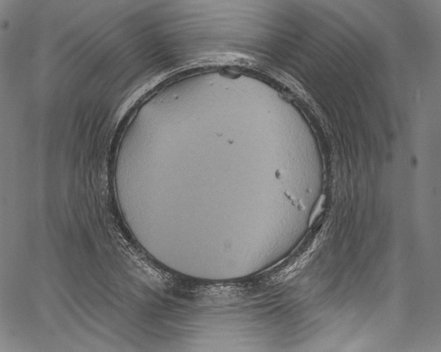 X0000067350834200604281440