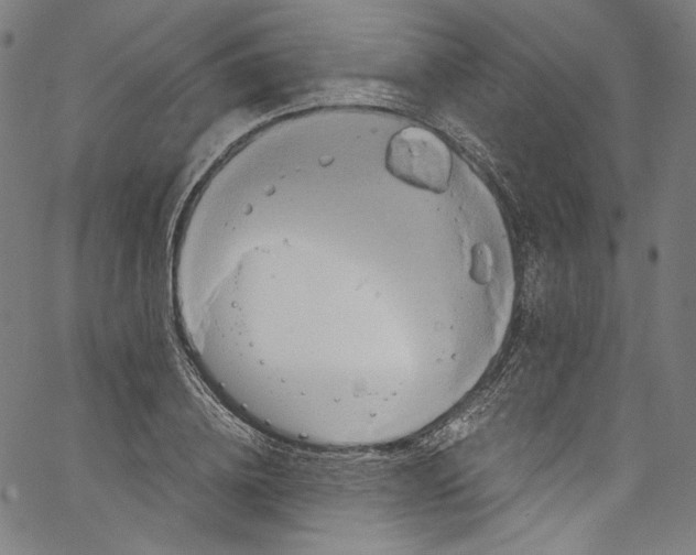 X0000067350836200604281440