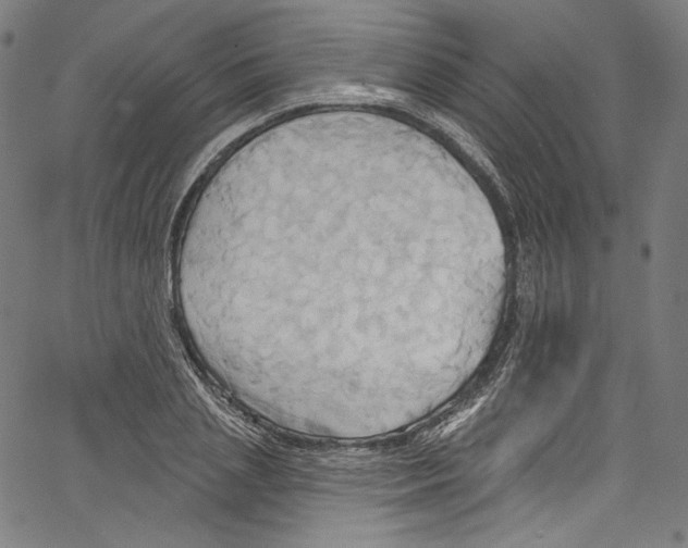 X0000067350837200604281440